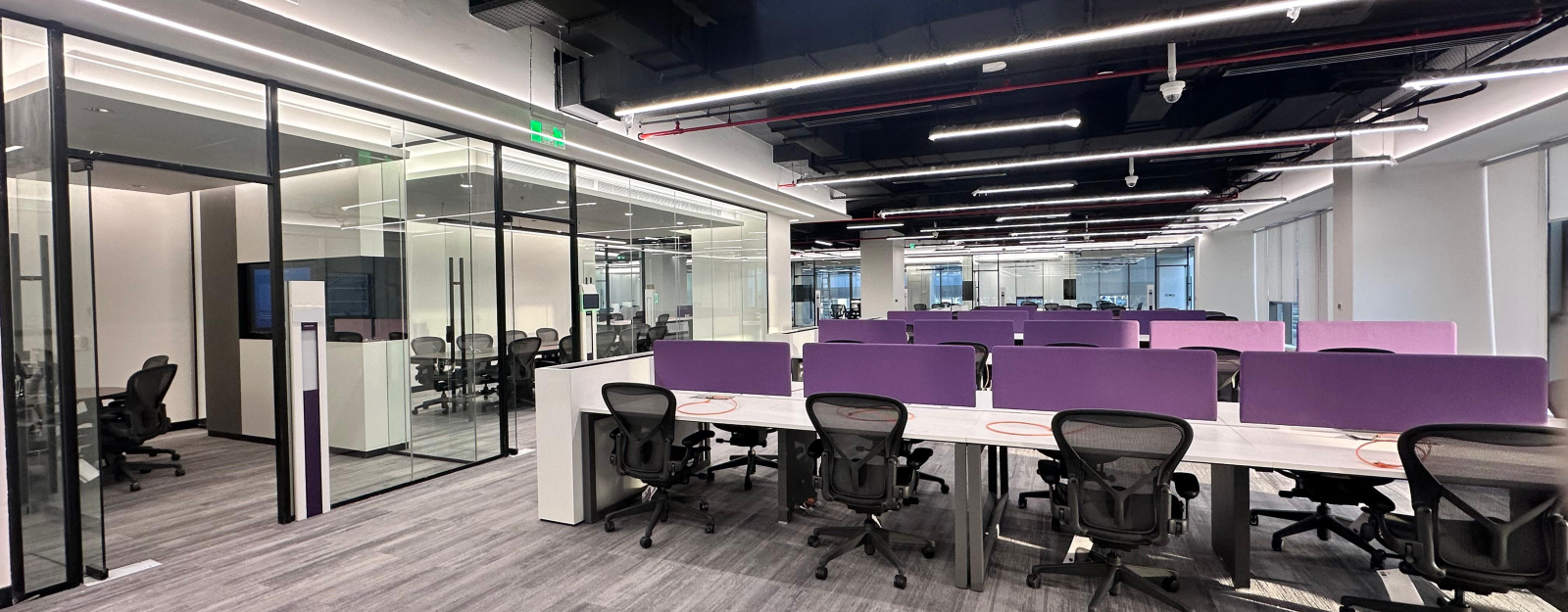 Specialized Co. Office Building – Fitout Project