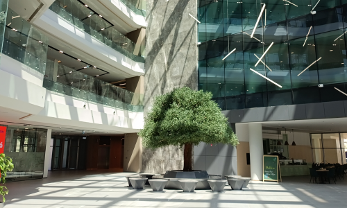 STC Adminstration Building B - Fitout Project