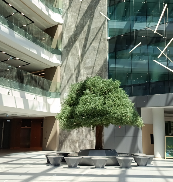 STC Adminstration Building B - Fitout Project